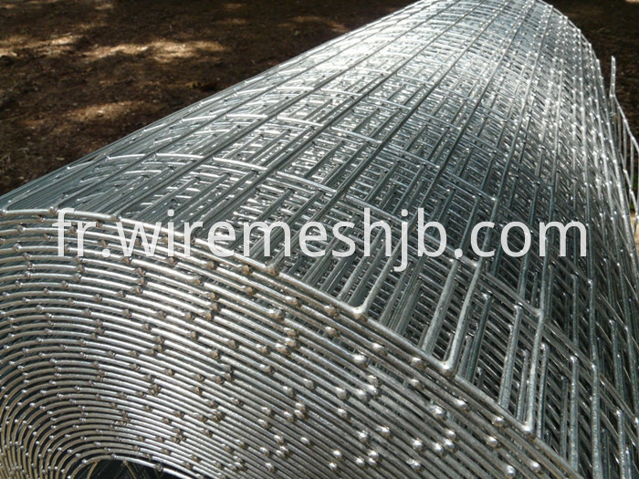 1'' X 1/2'' Welded Wire